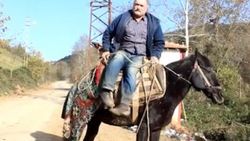Yalova'da köylüler asırlardır ata yan biniyor