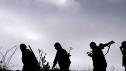 Şırnak'ta 7 PKK'lı güvenlik güçlerine teslim oldu