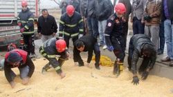 Kazada kopan kolu bulmak için seferber oldular