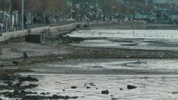 Silivri'de deniz 40 metre çekildi