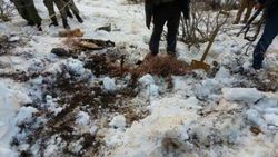 Şırnak’ta PKK’ya ait çok sayıda mühimmat ele geçirildi