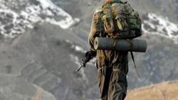 Ağrı ve Hakkari'de 9 terörist öldürüldü
