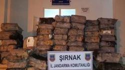 Şırnak’ta 329 bin paket kaçak sigara ele geçirildi
