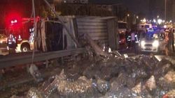 Kartal'da patates yüklü kamyon devrildi: 2 yaralı