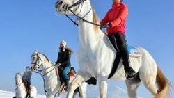 Erzurum'da atlı kadınlardan doğaya yardım