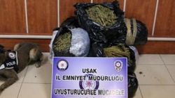 Uşak'ta 49 kilo 800 gram esrar ele geçirildi