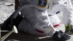 NASA uzayda çiçek yetiştirdi