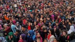 Siirt'te hamsi festivali