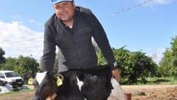 CHP'li eski başkan buzağısına 'hayır' adını verdi