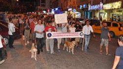 Hayvanseverler saldırıya uğrayan Mia için yürüdü