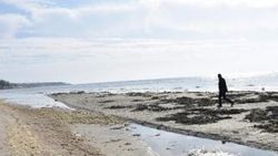 Tekirdağ'da deniz 15 metre çekildi