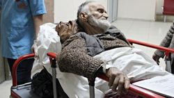 Bartın' da yaşlı adama iki ayı saldırdı