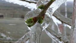 Meteoroloji'den don uyarısı