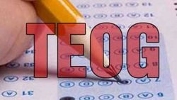 TEOG soruları ve sonuçları ne zaman açıklanacak 2016