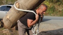 Rizeli Rambo 203 kiloluk kütüğü taşıdı