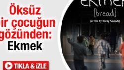 Günün kısa filmi: Ekmek
