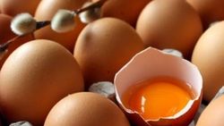 Yumurta zarı yaraları geçiriyor