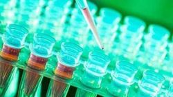 Organları tamir eden aşı üretiliyor