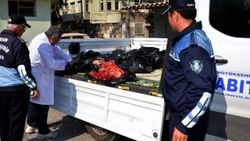 Mersin'de 200 kilo at eti ele geçirildi