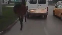 Atı minibüse bağlayıp eziyet ettiler