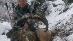 Ukraynalı avcı Artvin'de yaban keçisi vurdu