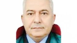 Avukata sürtük Naciye cezası