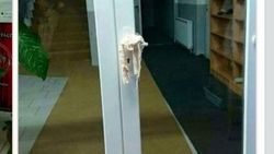 Avusturya'da caminin kapısına domuz organları bırakıldı