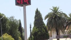 Aydın'da sıcaklık 43 derece
