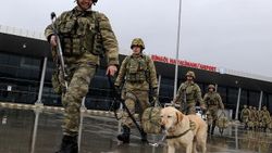 Mayın arama köpeği 'Ayevi' Afrin'de Mehmetçik'in gözü