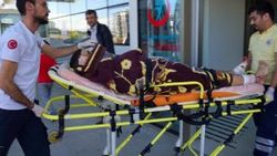 Mantar toplayan vatandaşa ayı saldırdı