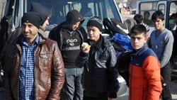 Ayvacık'ta 281 kaçak yakalandı