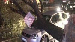 Bağcılar'da gelin arabasının üstüne ağaç devrildi