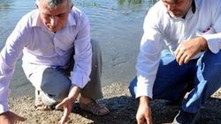 Kahramanmaraş'ta balık ölümlerine inceleme