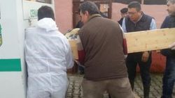 Şizofren hastası babasını ve köpeğini baltayla öldürdü