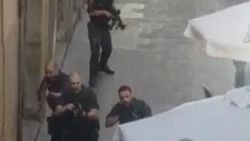 Barselona için 'kedi' dayanışması