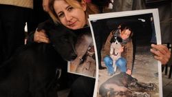 Bartınlı kadınlar sokak köpekleri için ağladılar