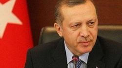 Ermeni tarihçiden Başbakan Erdoğan'a destek