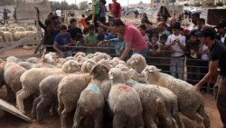 Kurban Bayramı için tatil hesapları başladı