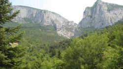 Engelli dostu “Milli Park” kuruluyor