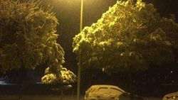 Bingöl’e mevsimin ilk karı düştü