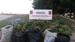 Bingöl'de uyuşturucu operasyonu
