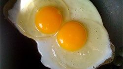 Gerçeğinden farksız yapay yumurta üretildi