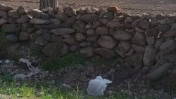 Bitlis'te çocukların bulduğu bomba imha edildi