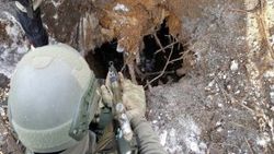 Bitlis’te 6 terörist öldürüldü
