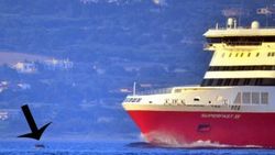 Bodrum'daki kaçakları ölüm teğet geçti