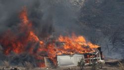Bodrum'da çıkan yangın paniğe neden oldu