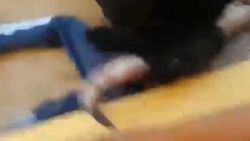 Boğa genç adamı tek boynuz darbesiyle öldürdü