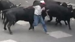 Boğanın gazabına uğrayanlar canını zor kurtardı