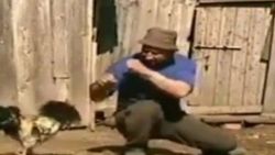 Horozuyla boks yaptı