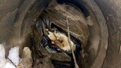 Tunceli'de PKK bombası imha edildi